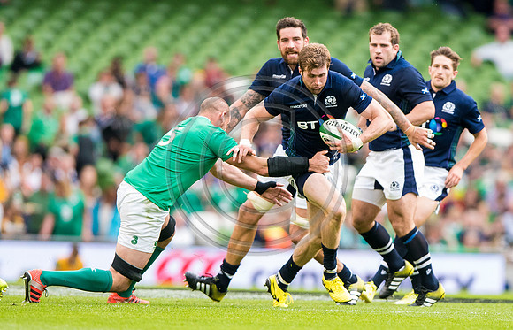 Ireland v Scotland
