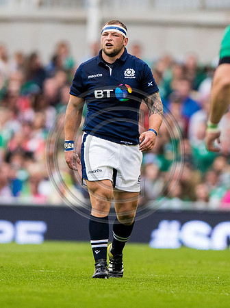 Ireland v Scotland