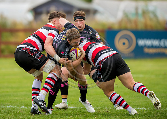 Stirling County v Ayrshire Bulls