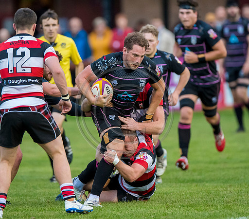 Stirling County v Ayrshire Bulls