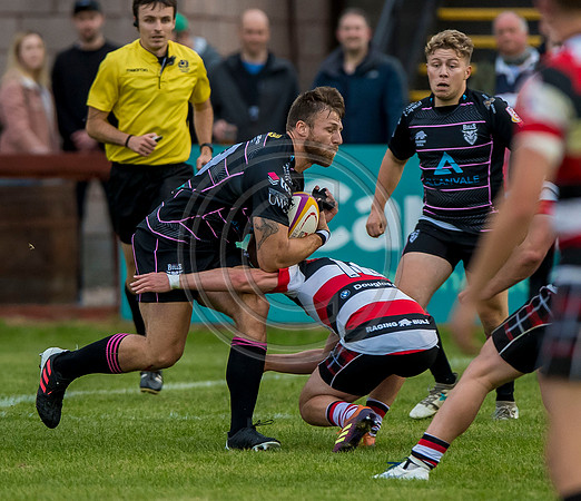 Stirling County v Ayrshire Bulls