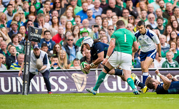 Ireland v Scotland