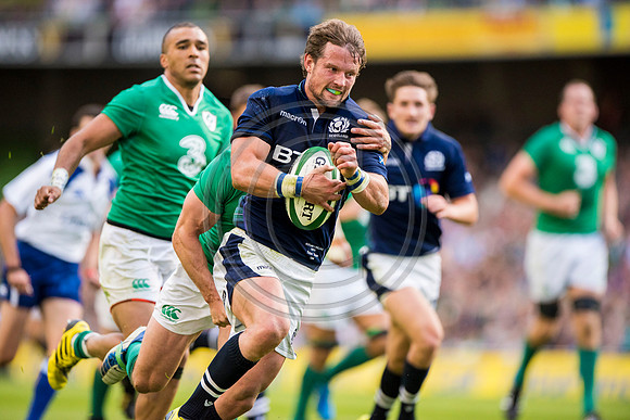 Ireland v Scotland