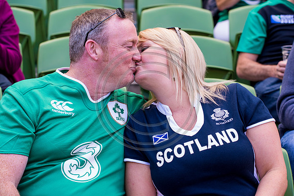Ireland v Scotland