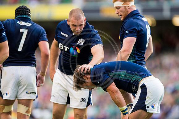 Ireland v Scotland