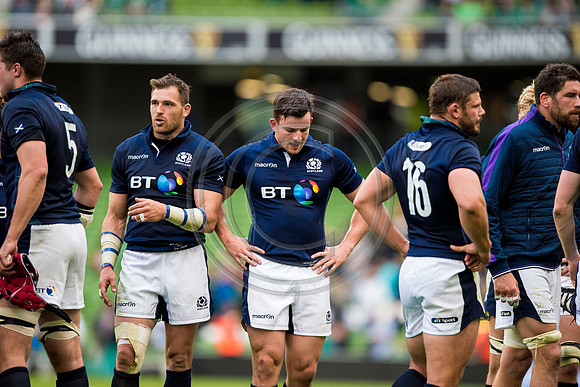 Ireland v Scotland
