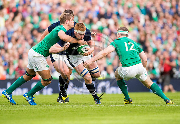 Ireland v Scotland