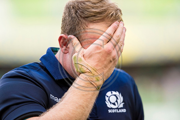 Ireland v Scotland