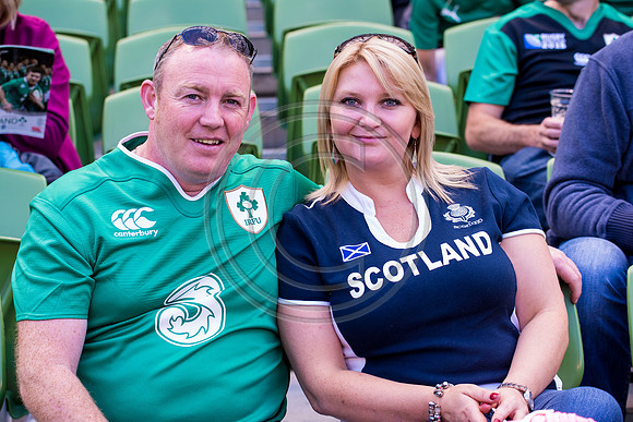 Ireland v Scotland