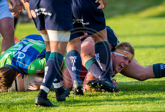 Boroughmuir Bears v Watsonians