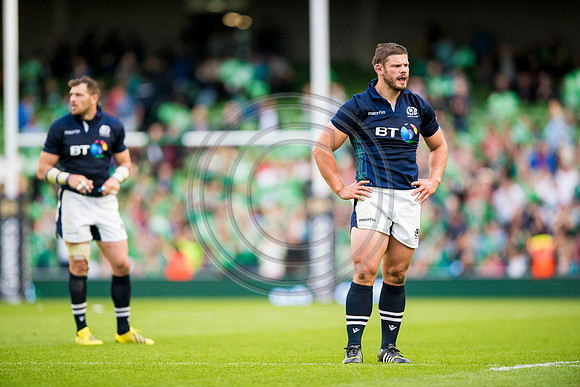 Ireland v Scotland