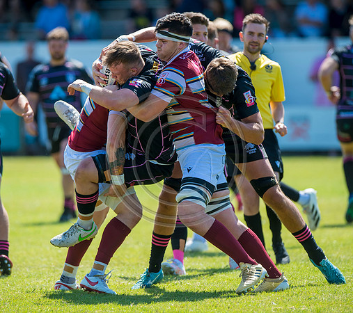 Ayrshire Bulls v Watsonians