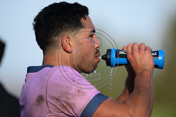 All Blacks training