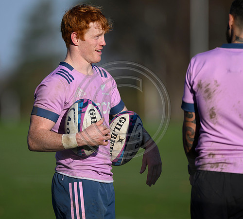 All Blacks training