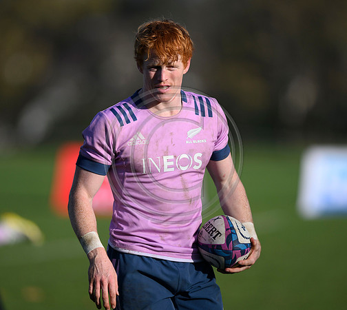 All Blacks training