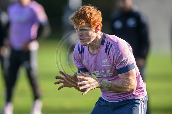 All Blacks training