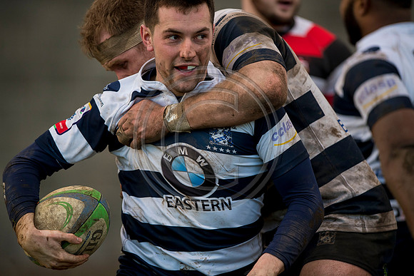 rugby