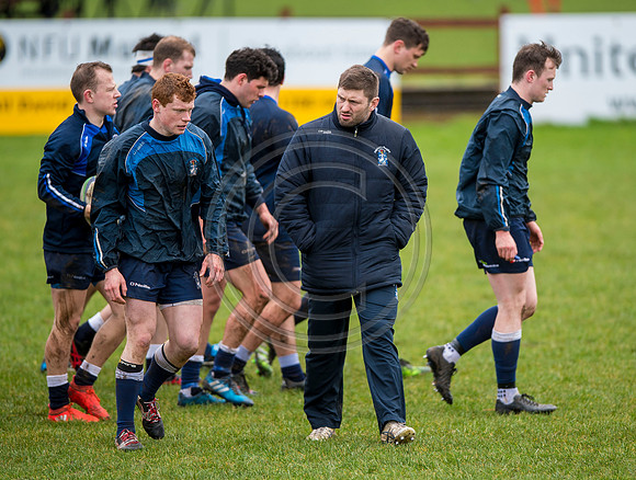 rugby