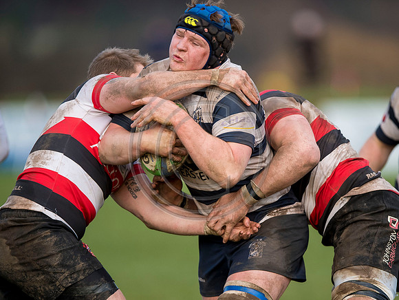 rugby