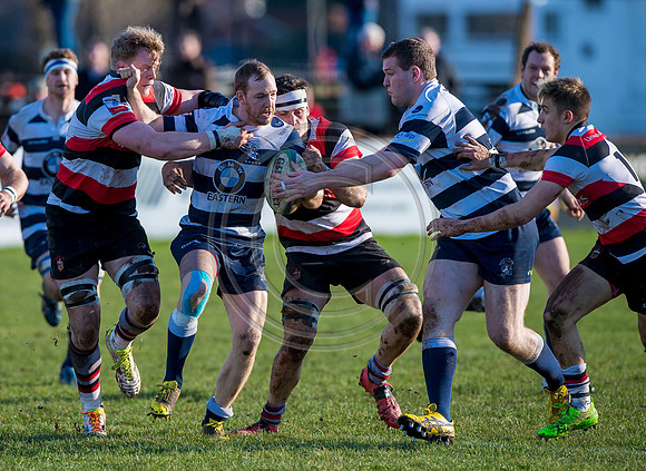 rugby