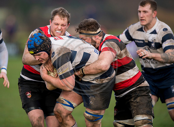 rugby