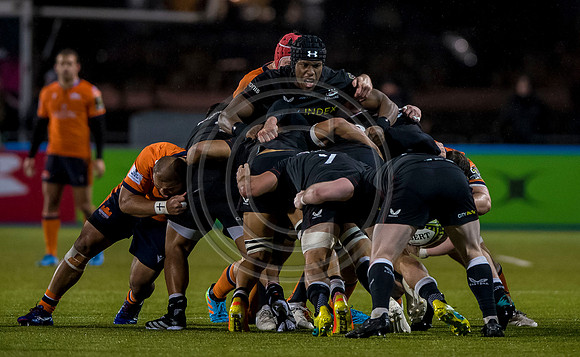 Saracens v Edinburgh