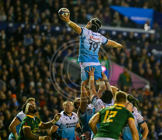 Scotland v South Africa