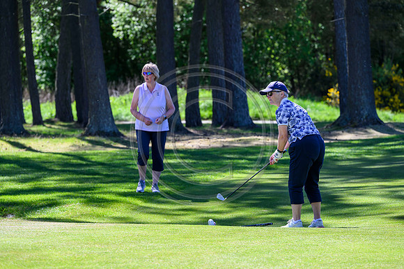 McCreas Golf day 2