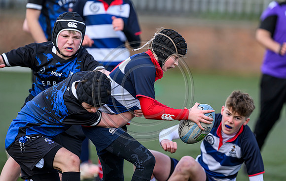 SP Energy Networks Warriors Championships Semi Final
