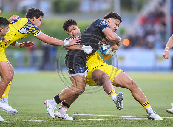 Warriors v Zebre