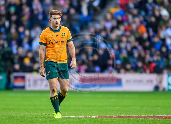 Scotland v Australia