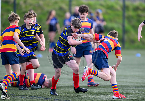 SP Energy Networks Warriors Championships Semi Final