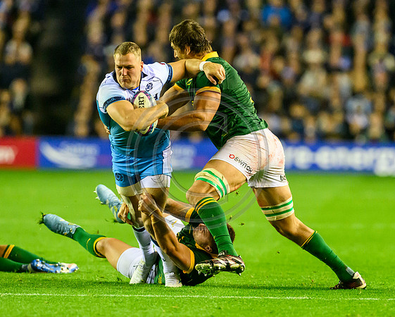Scotland v South Africa