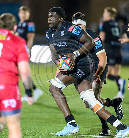 Warriors v Scarlets