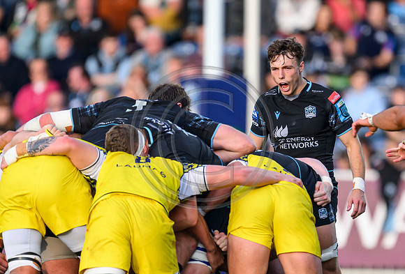 Warriors v Zebre