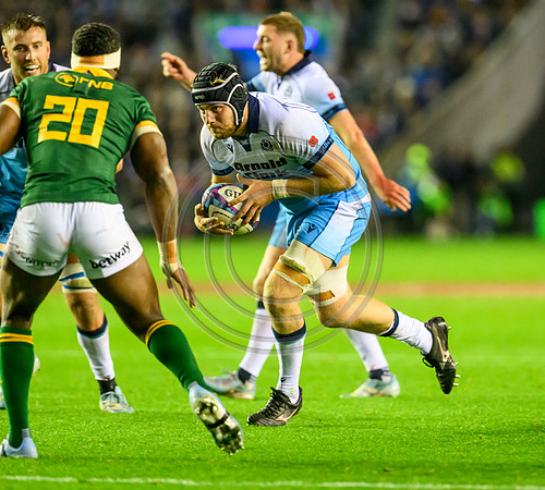 Scotland v South Africa