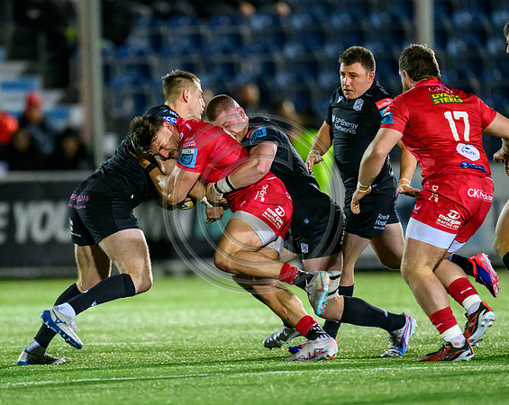 Warriors v Scarlets
