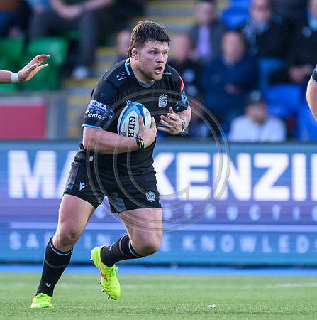 Warriors v Zebre