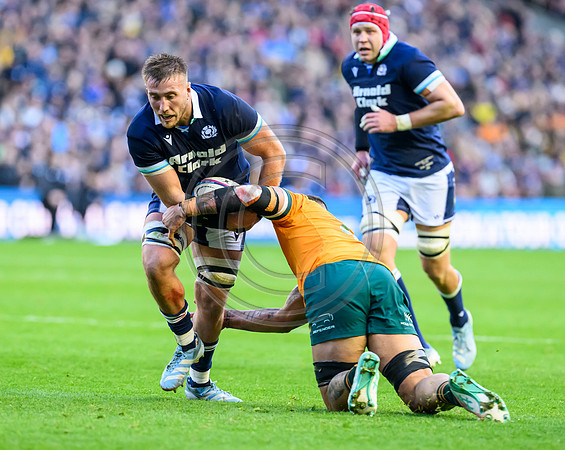 Scotland v Australia