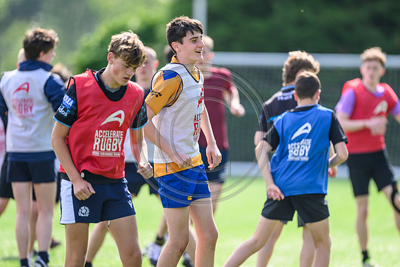 Accelerate Rugby