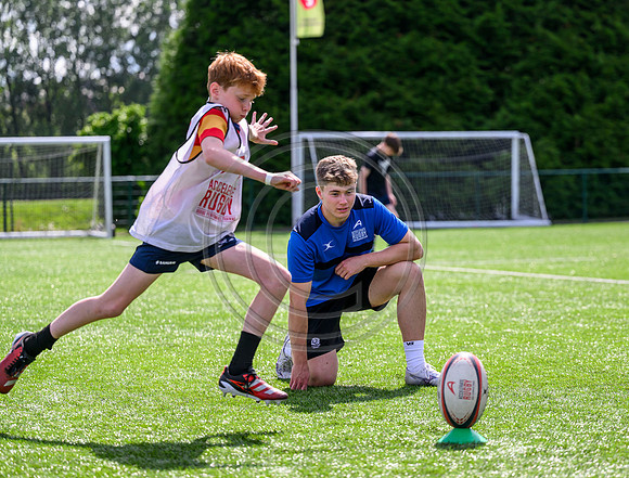 Accelerate Rugby