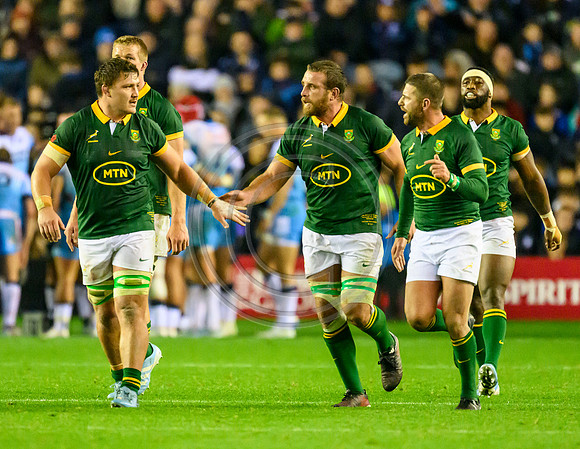 Scotland v South Africa