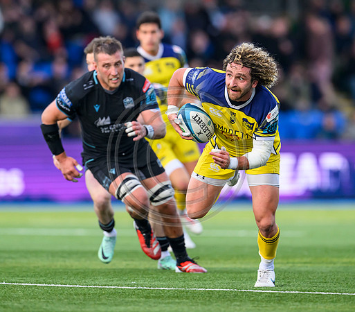 Warriors v Zebre