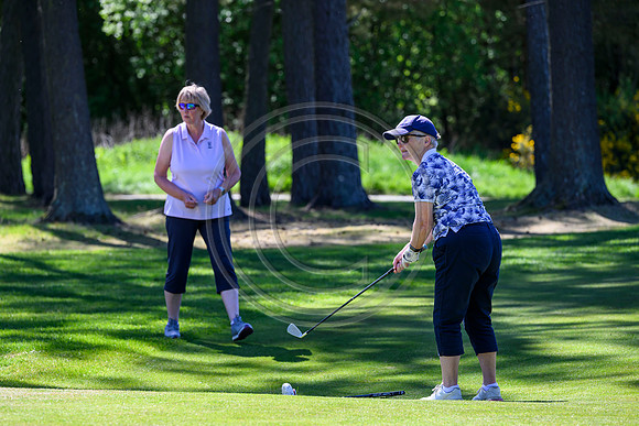 McCreas Golf day 2