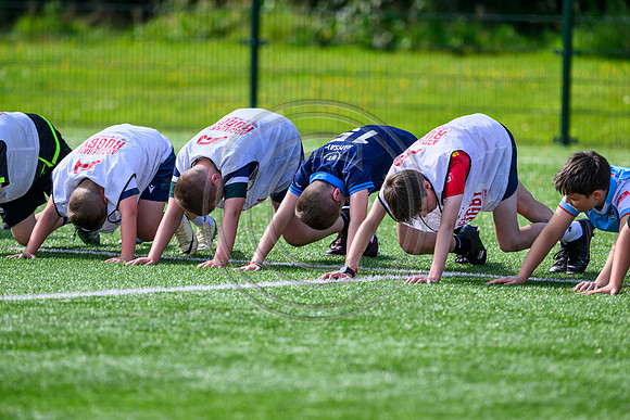 Accelerate Rugby