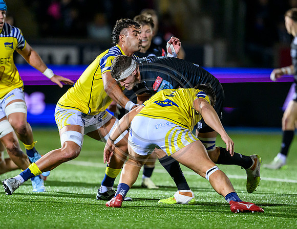 Warriors v Zebre