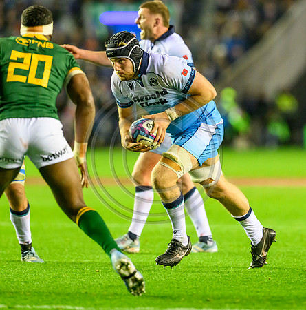 Scotland v South Africa