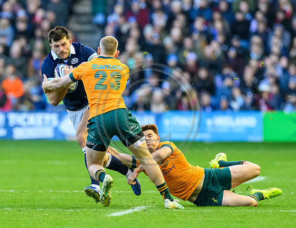 Scotland v Australia