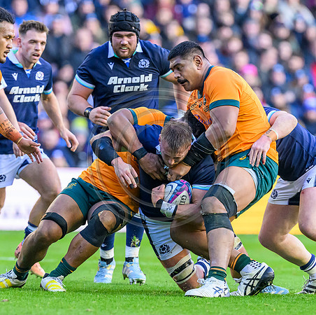 Scotland v Australia