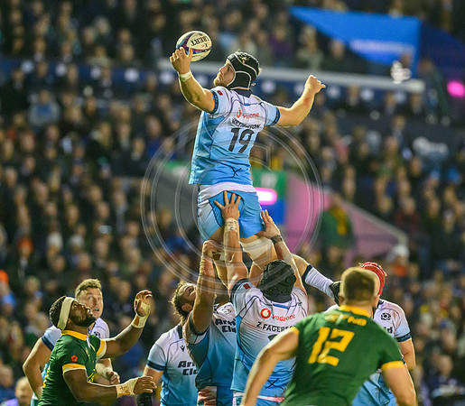 Scotland v South Africa